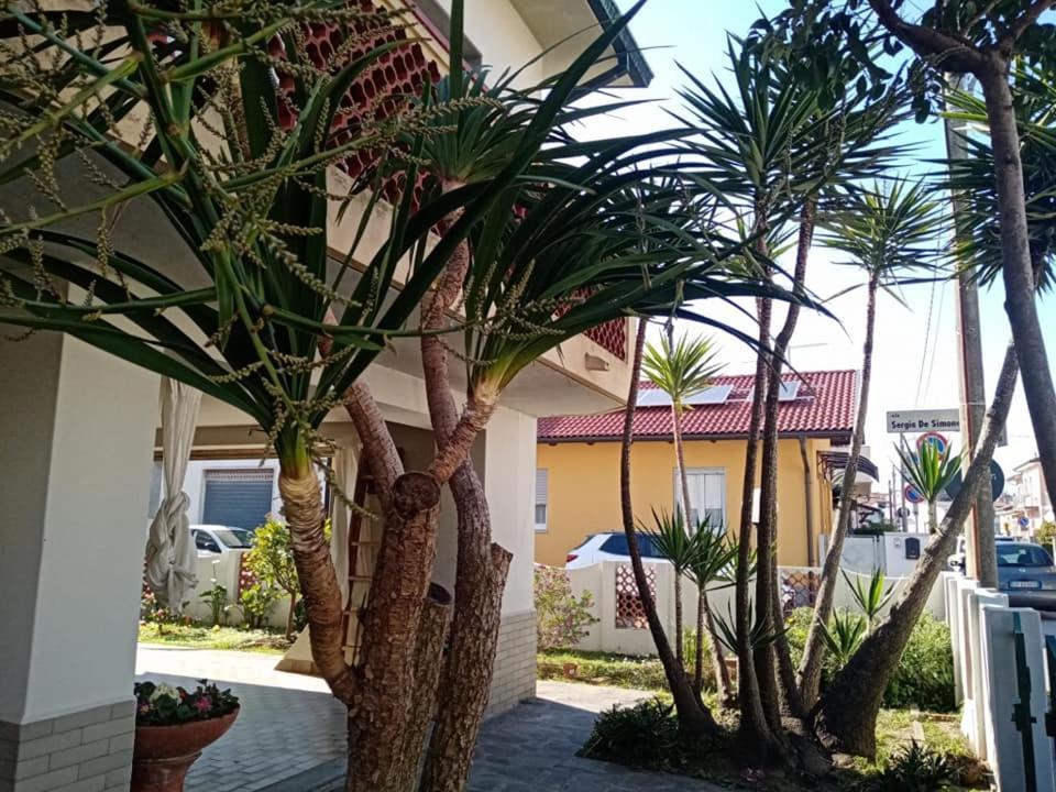 Florinda B&B Viareggio Exterior photo