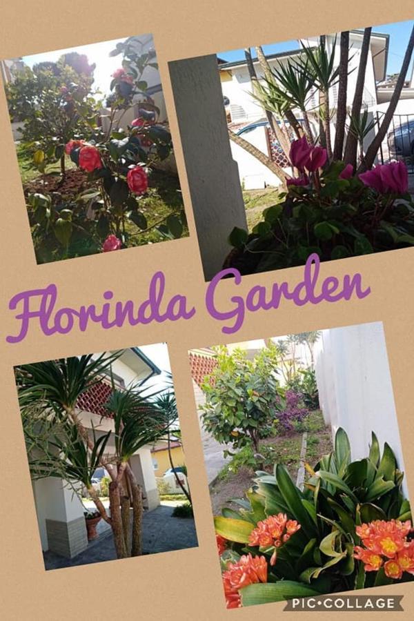 Florinda B&B Viareggio Exterior photo